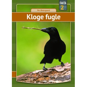 Kloge fugle 