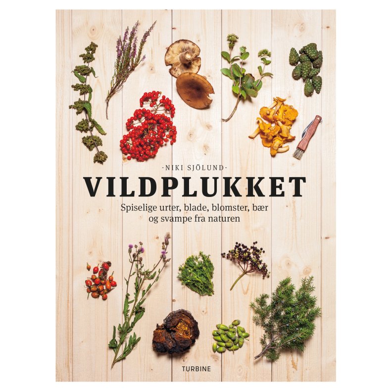 Vildplukket Spiselige urter, blade, blomster, br og svampe fra naturen