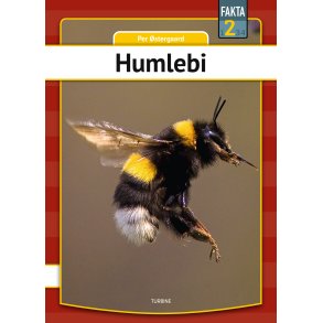 Humlebi 