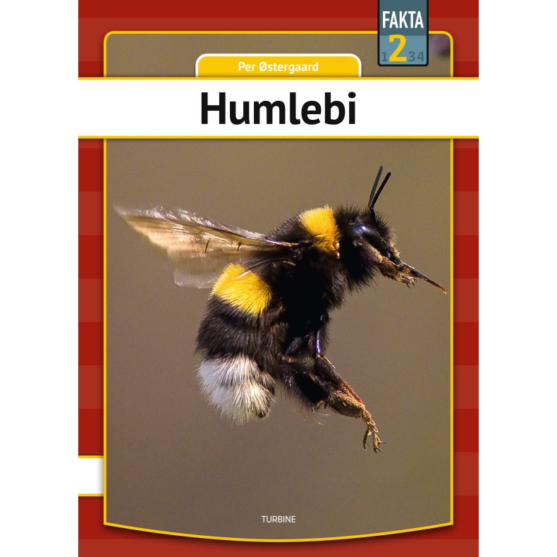 Humlebi 