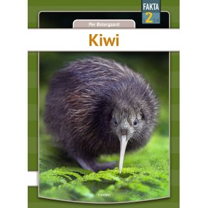 Kiwi 