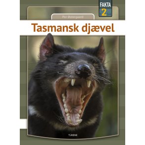Tasmansk djvel 