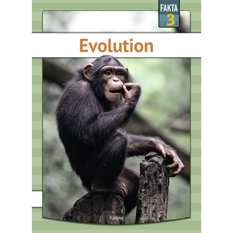 Evolution 