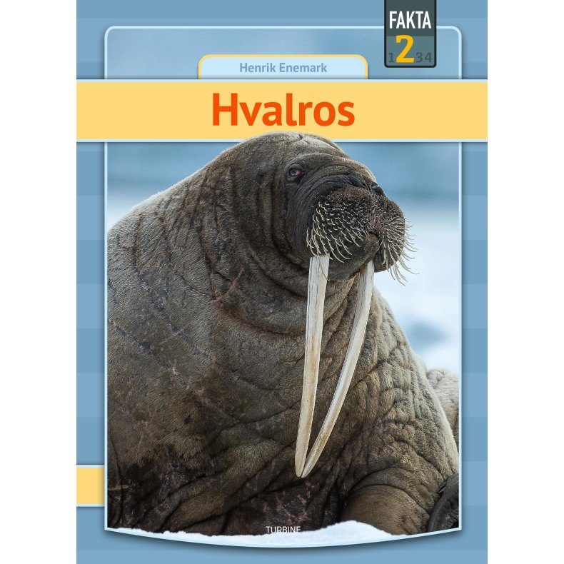 Hvalros 