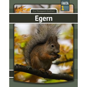 Egern 