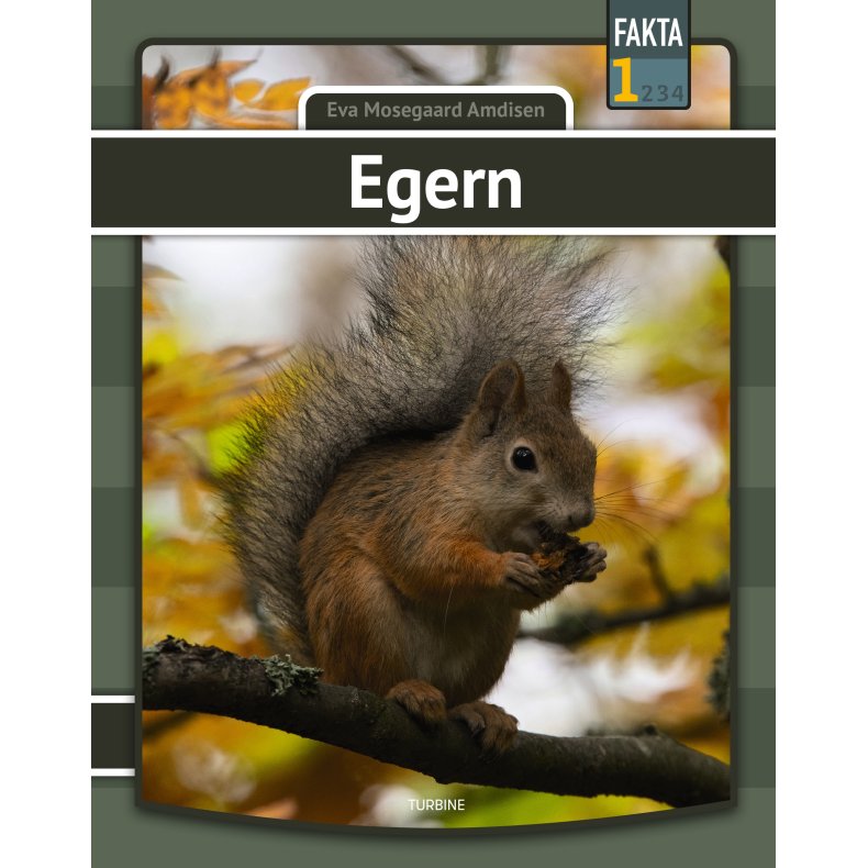Egern 