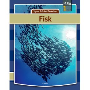 Fisk 