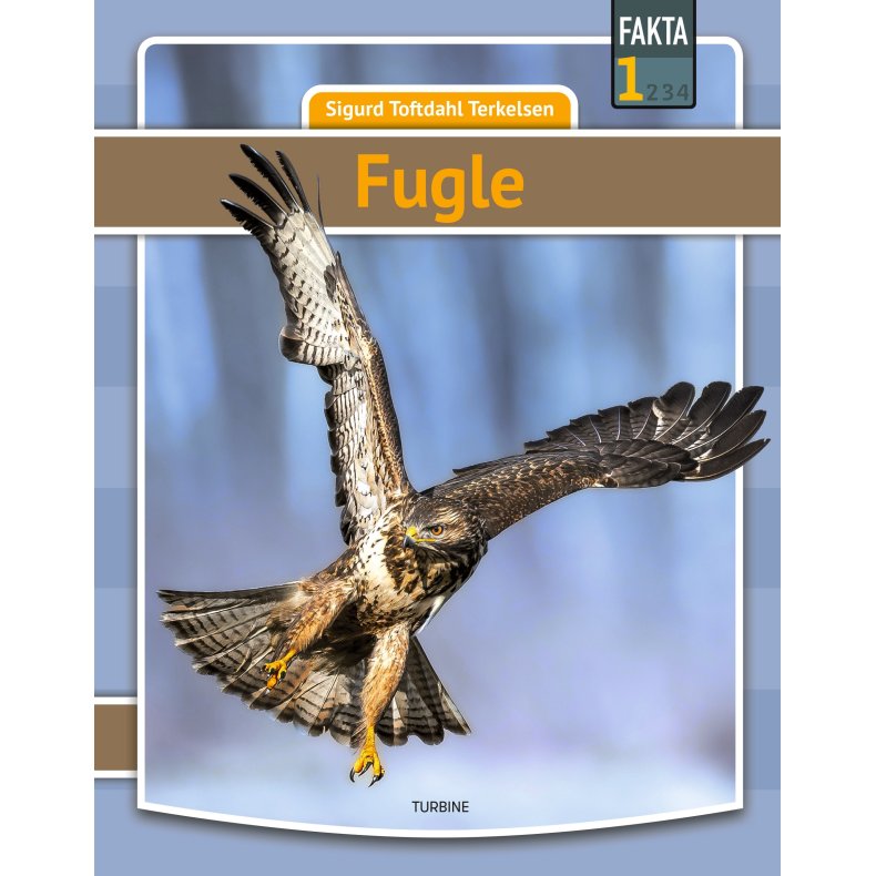 Fugle 