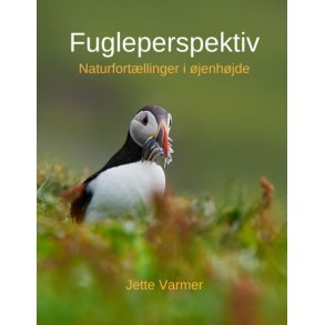 Fugleperspektiv Naturfortllinger i jenhjde