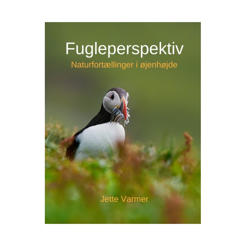 Fugleperspektiv Naturfortllinger i jenhjde