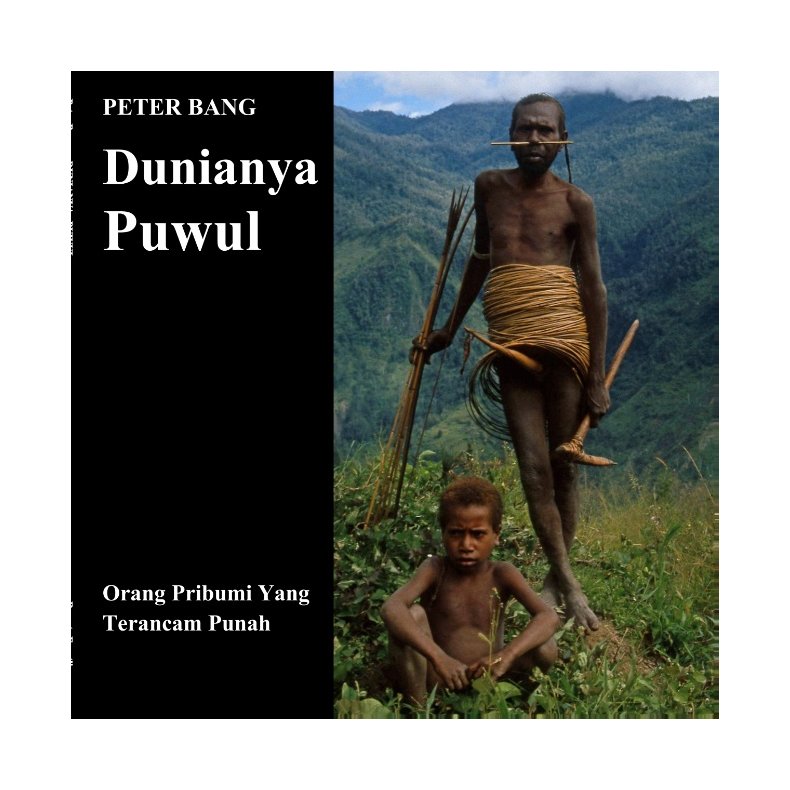 Dunianya Puwul Orang Pribumi Yang Terancam Punah