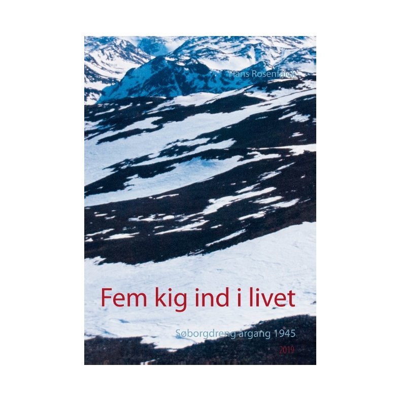 Fem kig ind i livet Sborgdreng rgang 1945