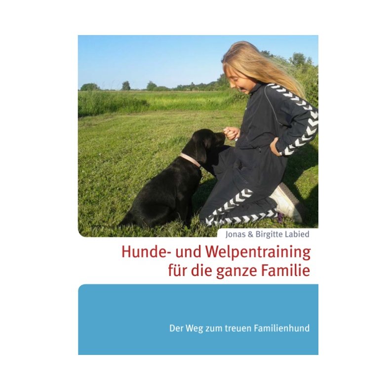 Hunde- und Welpentraining fr die ganze Familie Der Weg zum treuen Familienhund