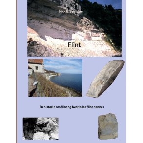 Flint En historie om flint og hvorledes flint dannes