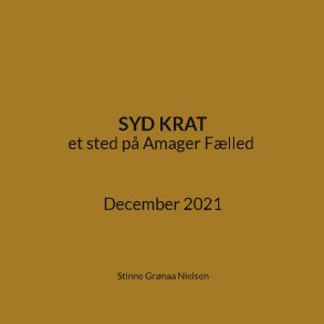 Syd Krat et sted p Amager Flled December 2021
