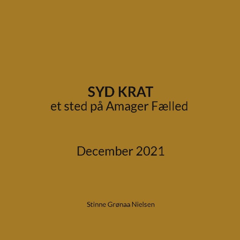 Syd Krat et sted p Amager Flled December 2021