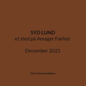 Syd Lund et sted p Amager Flled December 2021