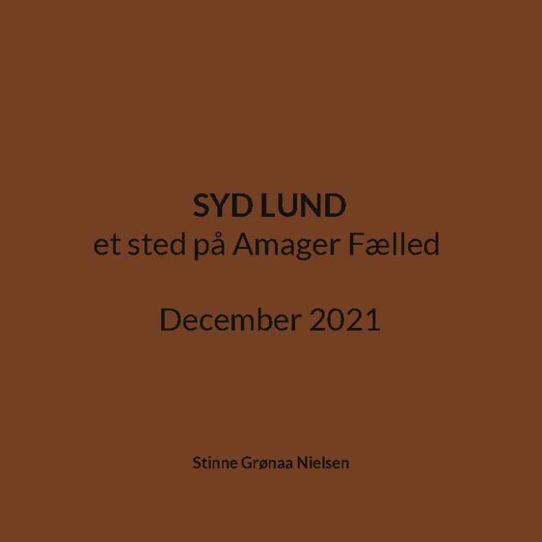 Syd Lund et sted p Amager Flled December 2021