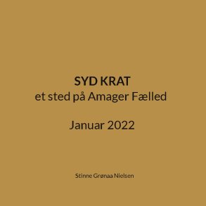 Syd Krat et sted p Amager Flled Januar 2022