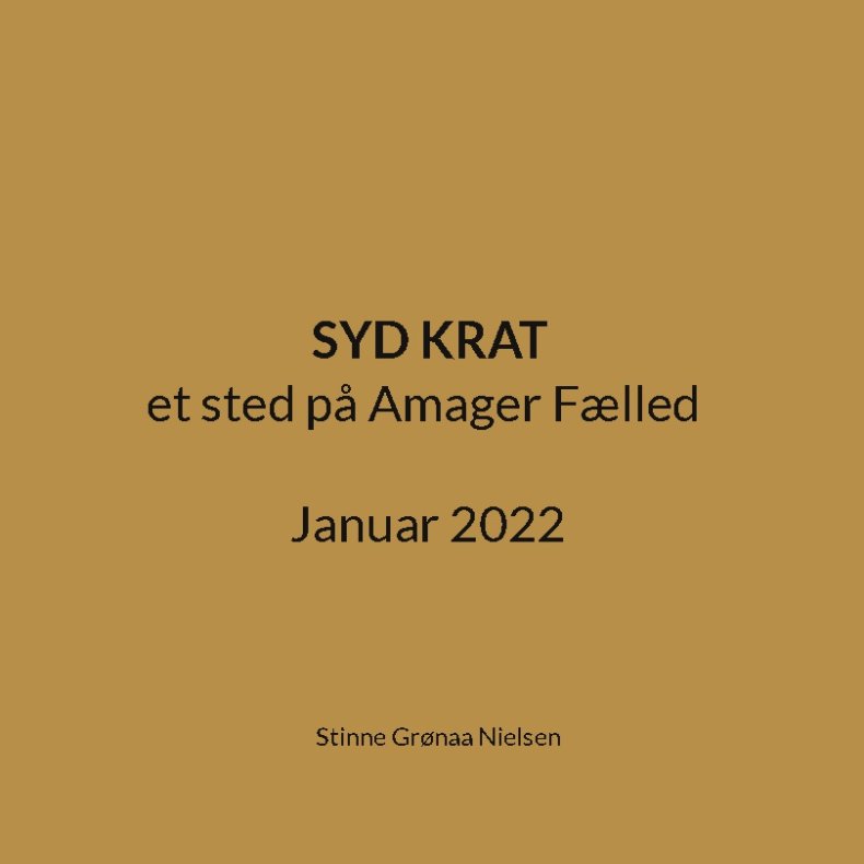 Syd Krat et sted p Amager Flled Januar 2022