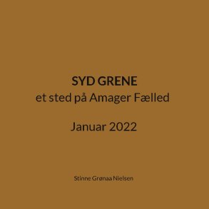 Syd Grene et sted p Amager Flled Januar 2022