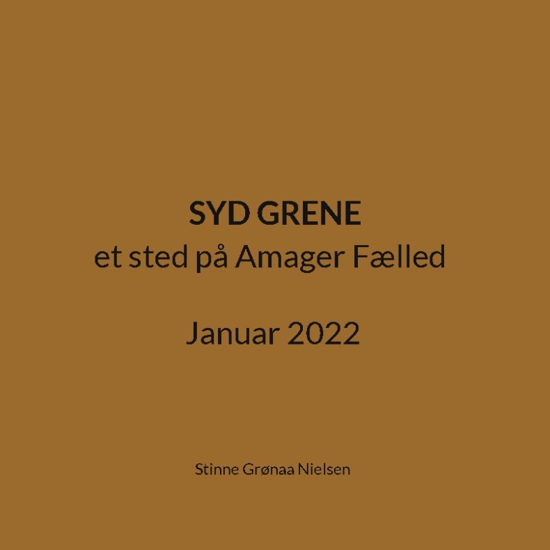Syd Grene et sted p Amager Flled Januar 2022