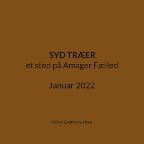 Syd Trer et sted p Amager Flled Januar 2022