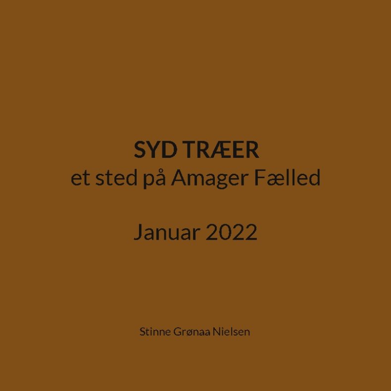 Syd Trer et sted p Amager Flled Januar 2022