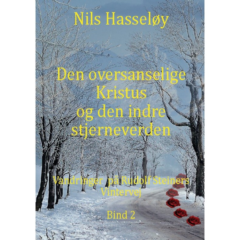 Den oversanselige Kristus og den indre stjerneverden Vandringer p Rudolf Steiners Vintervej Bind 2