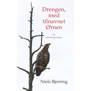 Drengen, med tilnavnet rnen En udviklingsroman