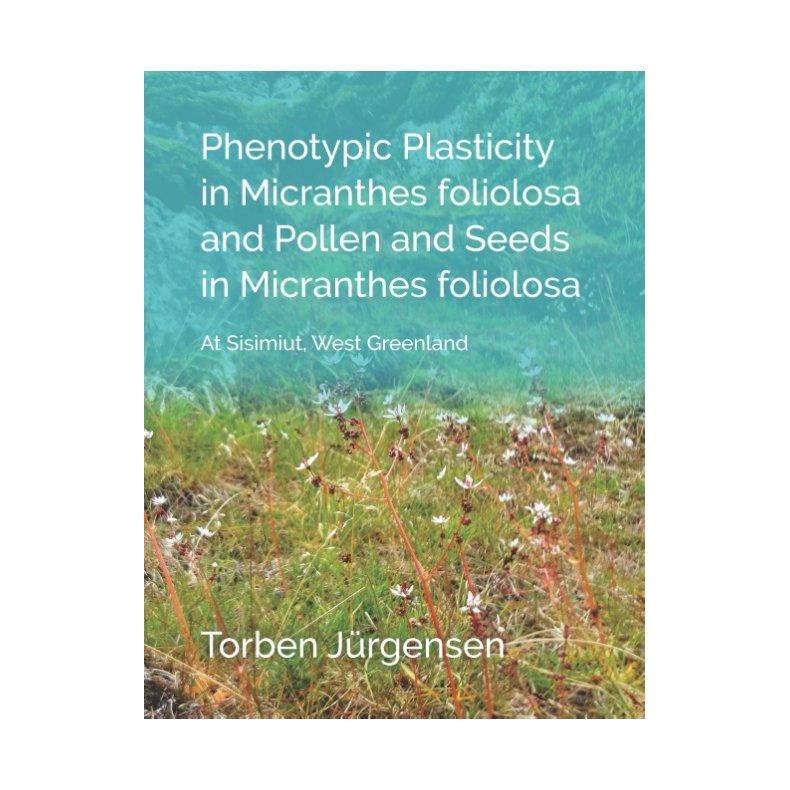 Phenotypic Plasticity in Micranthes foliolosa and Pollen and Seeds in Micranthes foliolosa At Sisimiut, West Greenland
