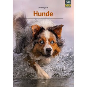 Hunde 