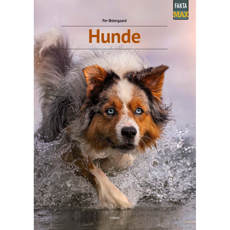 Hunde 