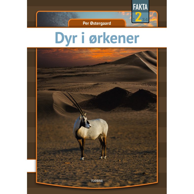 Dyr i rkener 