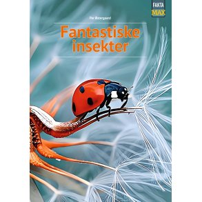 Fantastiske insekter 