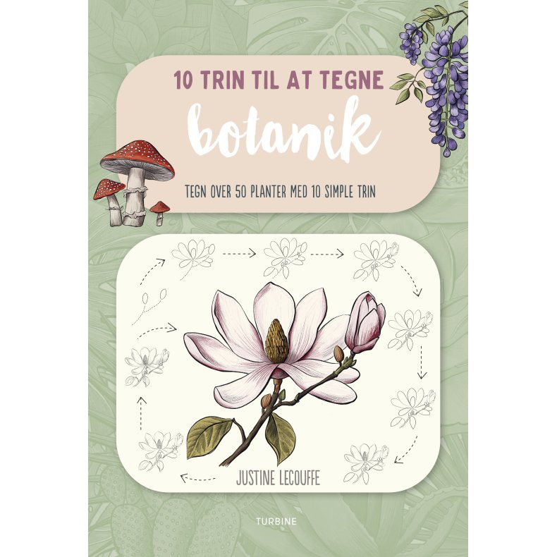 10 trin til at tegne botanik Tegn over 50 planter med 10 simple trin