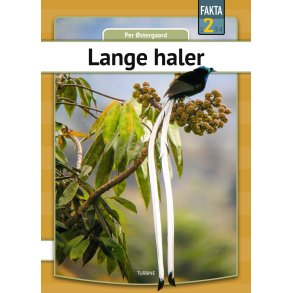 Lange haler 