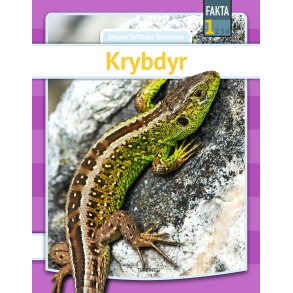 Krybdyr 