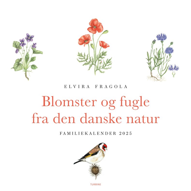 Blomster og fugle fra den danske natur   familiekalender 2025 