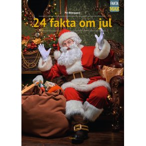 24 fakta om jul 