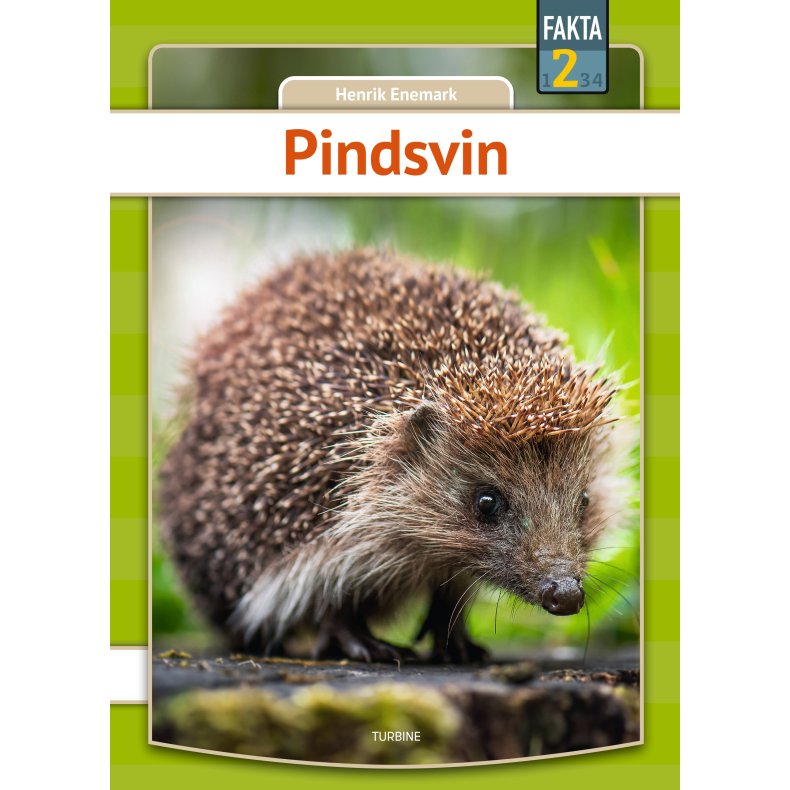 Pindsvin 