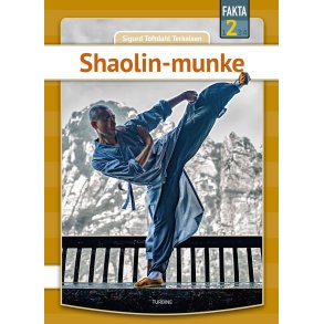 Shaolin-munke 