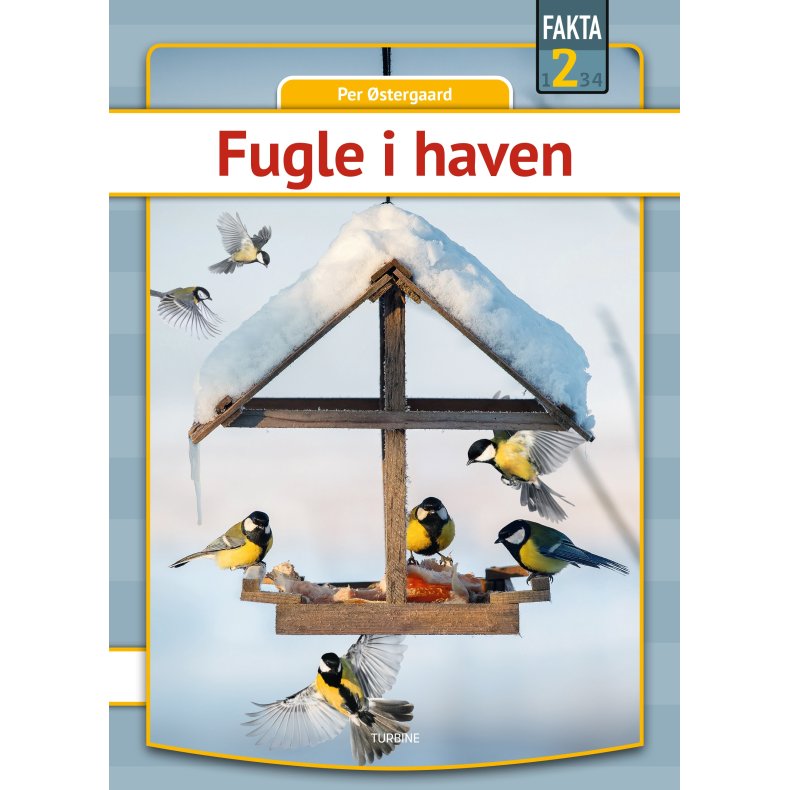 Fugle i haven 
