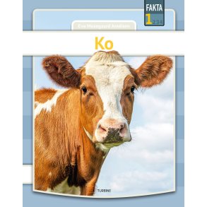Ko 