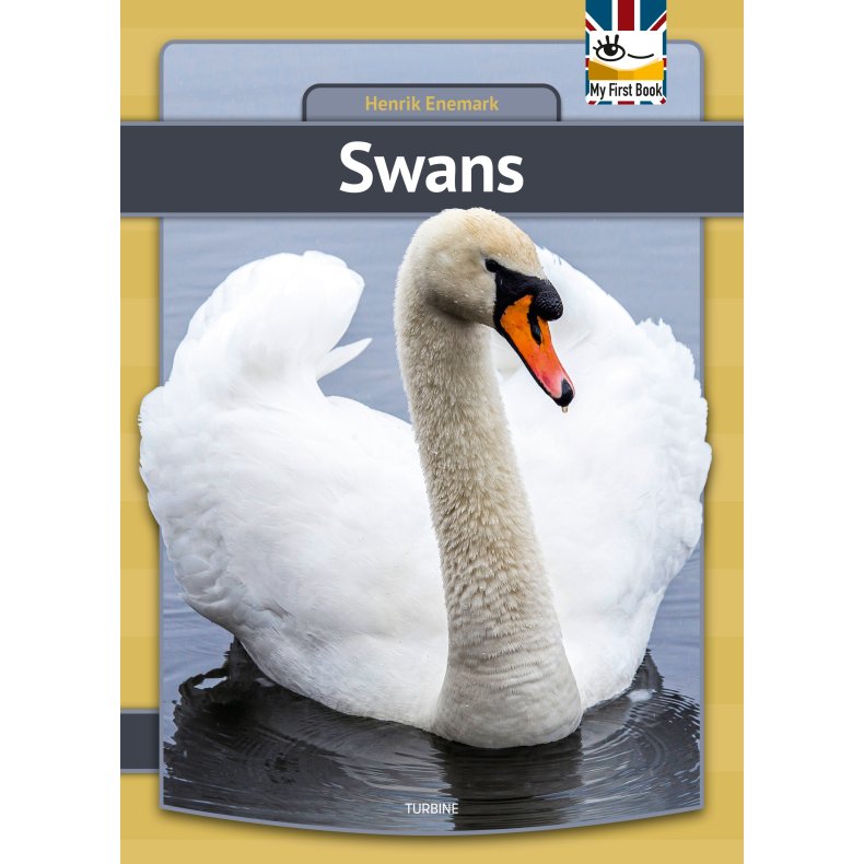 Swans 