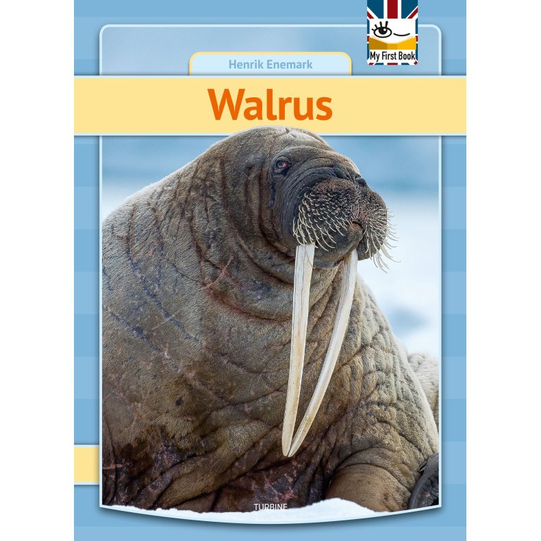Walrus 