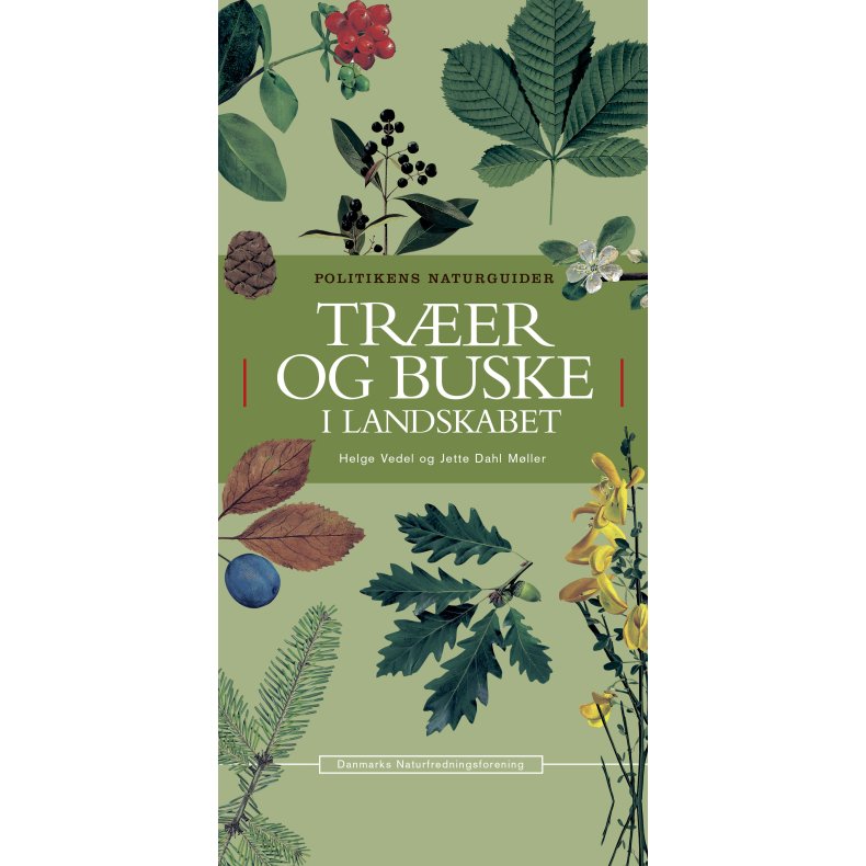 Trer og buske i landskabet 