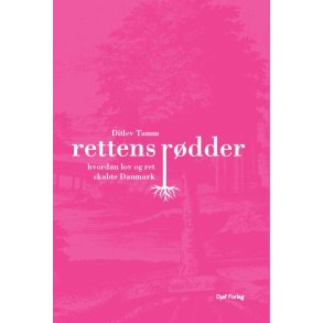 Rettens rdder Hvordan lov og ret har skabt Danmark