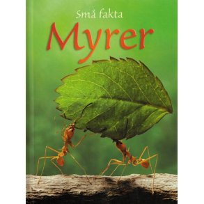 Sm fakta: Myrer 