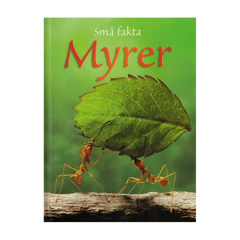 Sm fakta: Myrer 